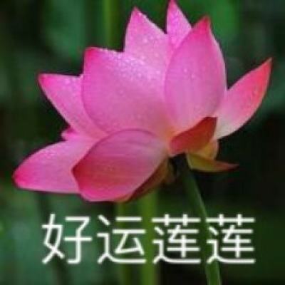 宁夏福彩2019年度社会责任报告发布